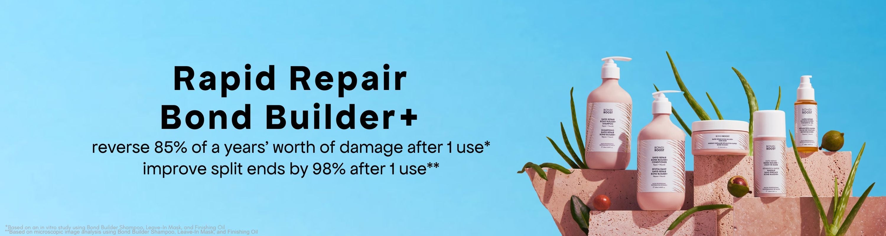 Damage + Bond Repair
