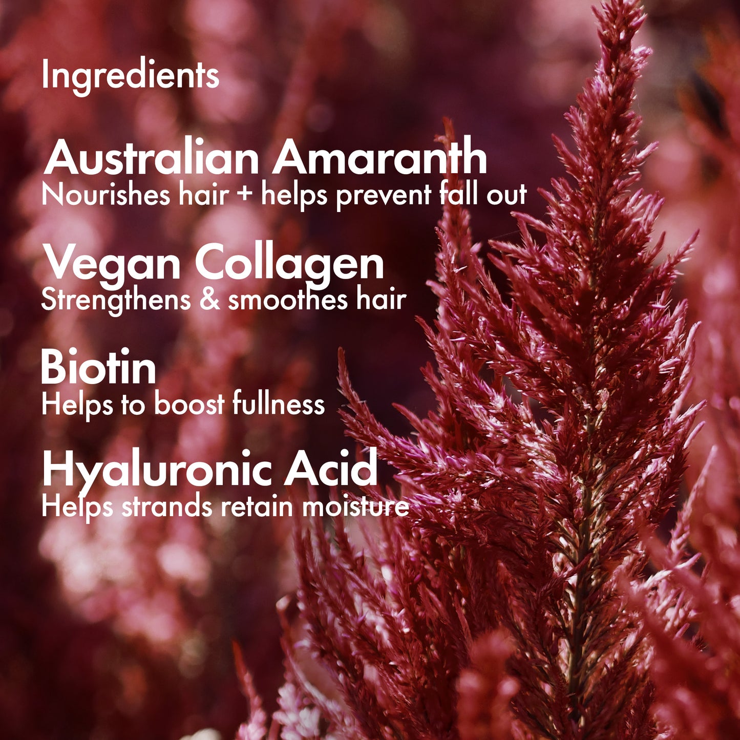 List of hair care ingredients with a blurred red plant background