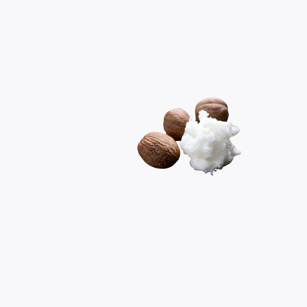 Three nuts and a shell on a white background