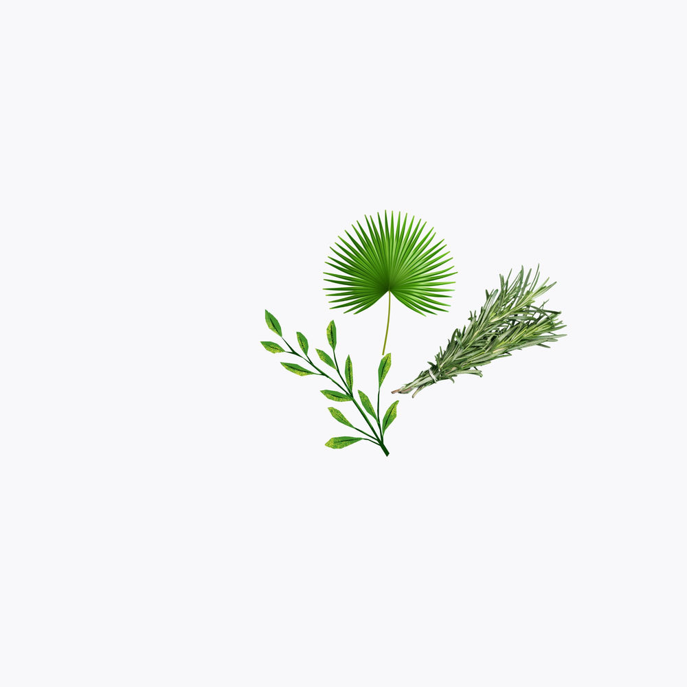 Collection of green leaves on a white background