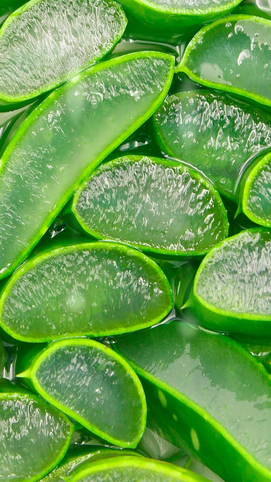 Why Our Customers Love Aloe