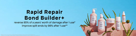 Damage + Bond Repair