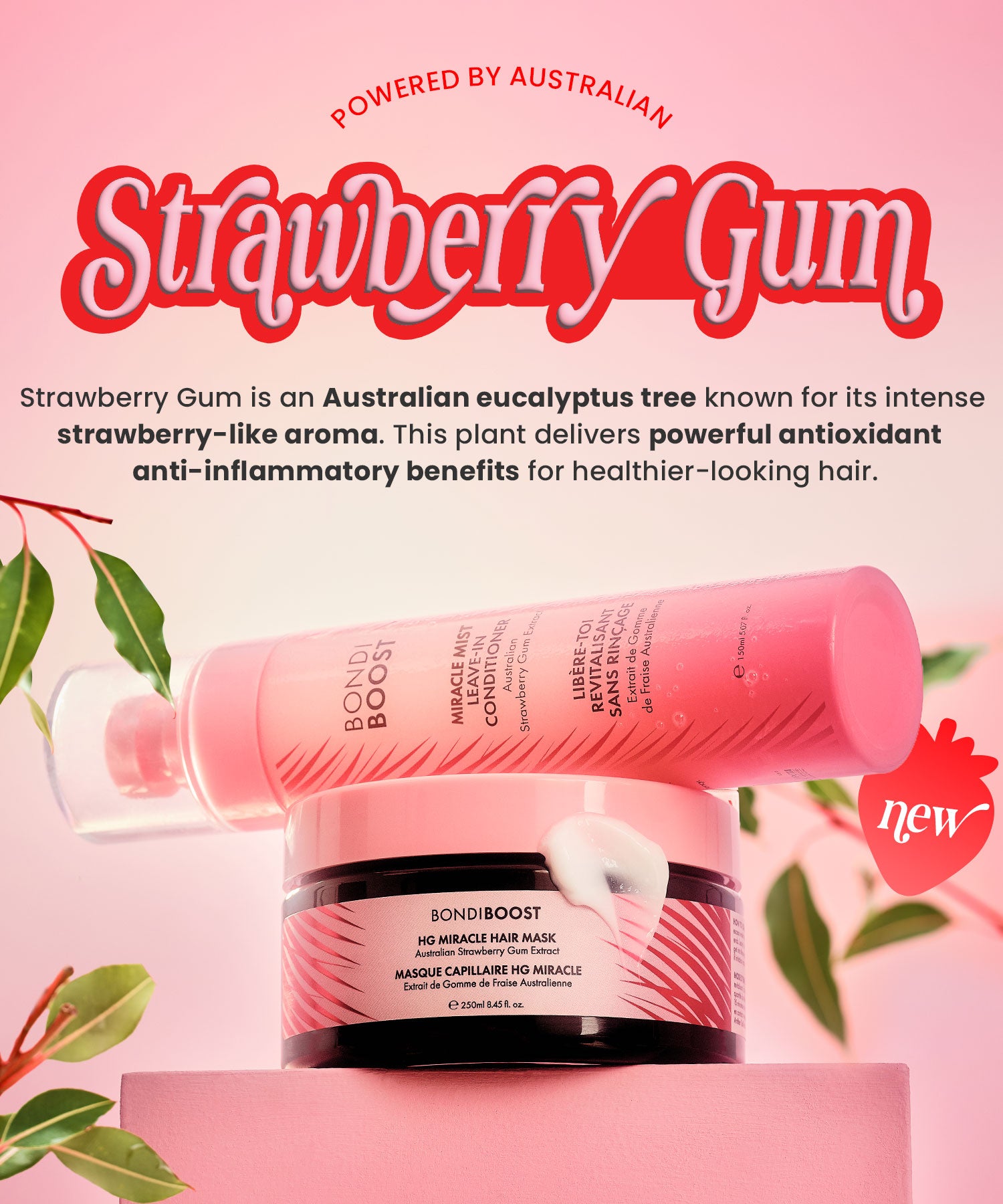 Strawberry Gum hair care products with text about the plant's benefits on a pink background.
