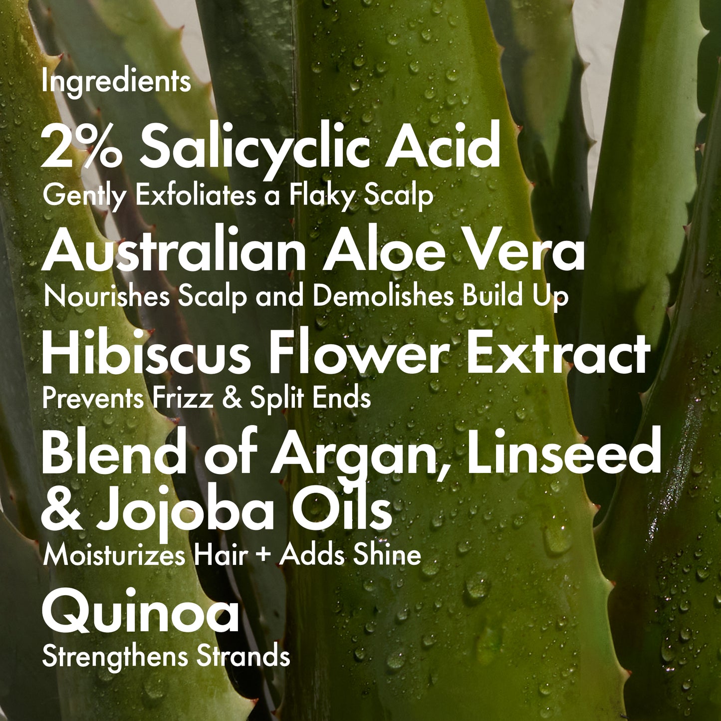 SCALP & HAIR MASK